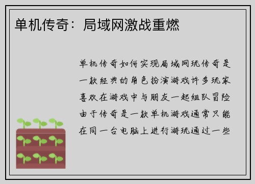 单机传奇：局域网激战重燃